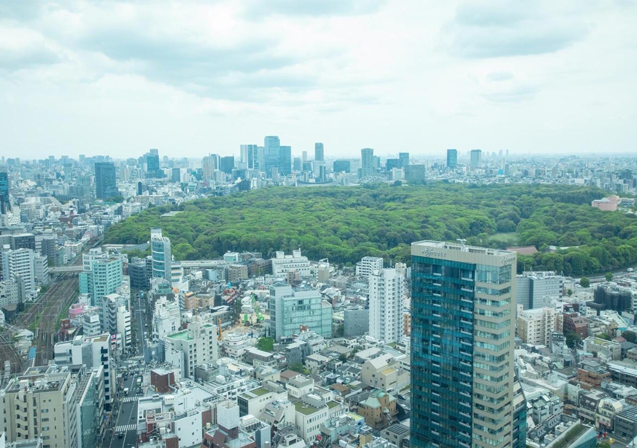 Hotel Odakyu Century Southern Tower 4*